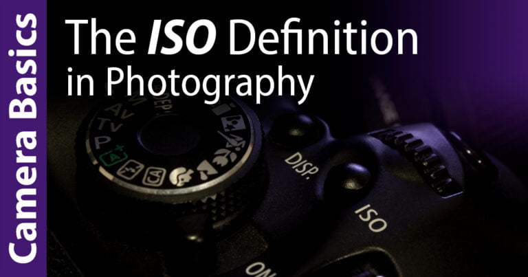 Read more about the article ISO Definition in Photography Explained