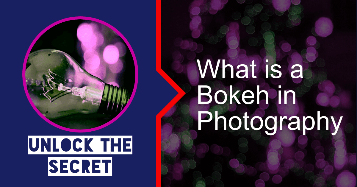 You are currently viewing Unlock Exclusive Secrets: What is a Bokeh in Photography!
